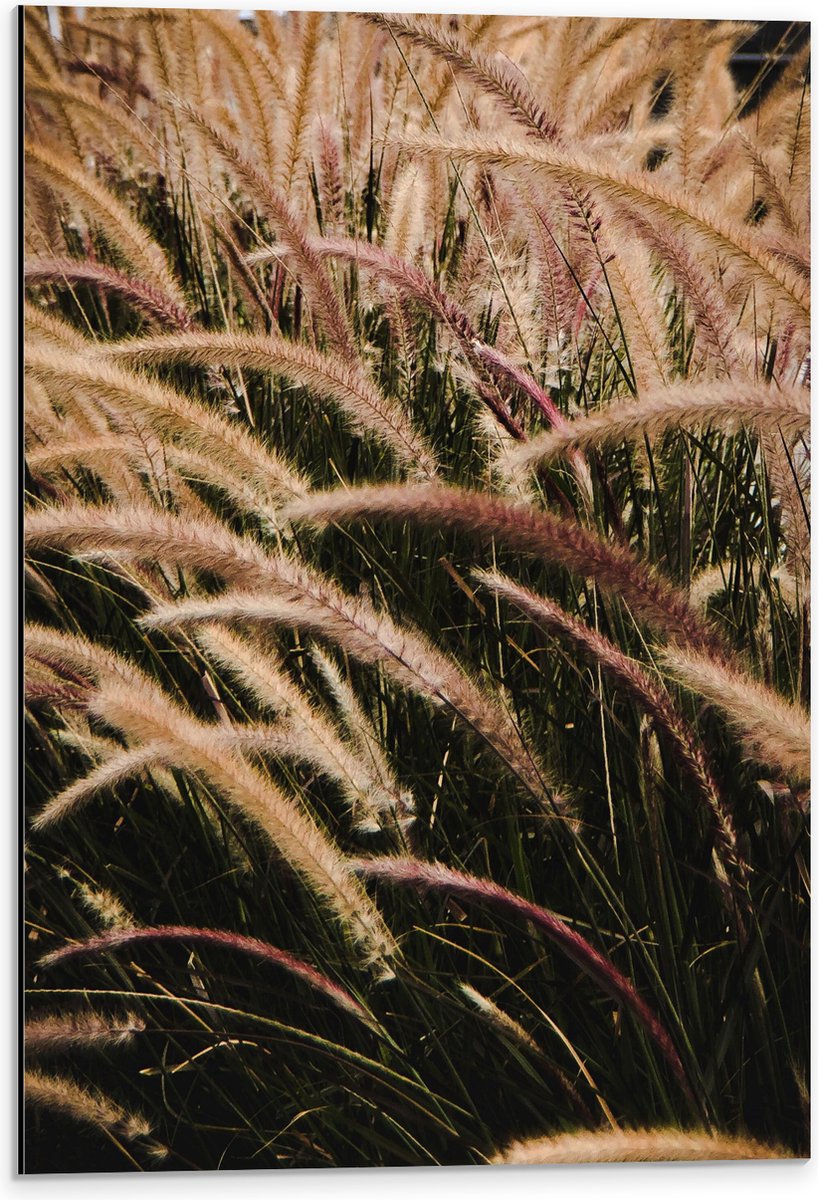 Dibond - Sierlijke Fontein Gras - 40x60 cm Foto op Aluminium (Wanddecoratie van metaal)