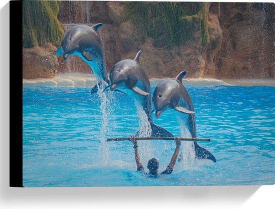 WallClassics - Canvas - Springende Dolfijnen - 40x30 cm Foto op Canvas Schilderij (Wanddecoratie op Canvas)
