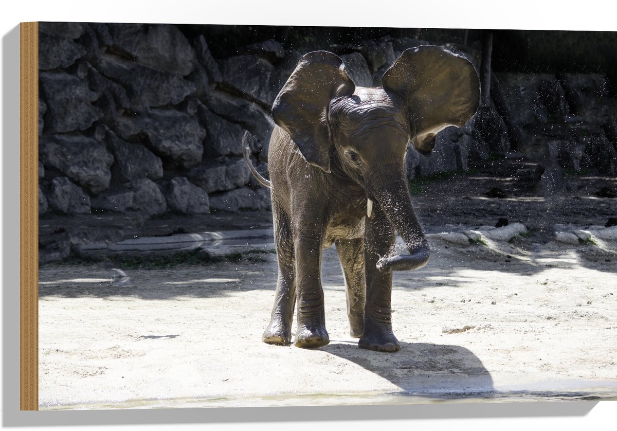 Hout - Baby Olifantje Speelt met Water - 60x40 cm - 9 mm dik - Foto op Hout (Met Ophangsysteem)