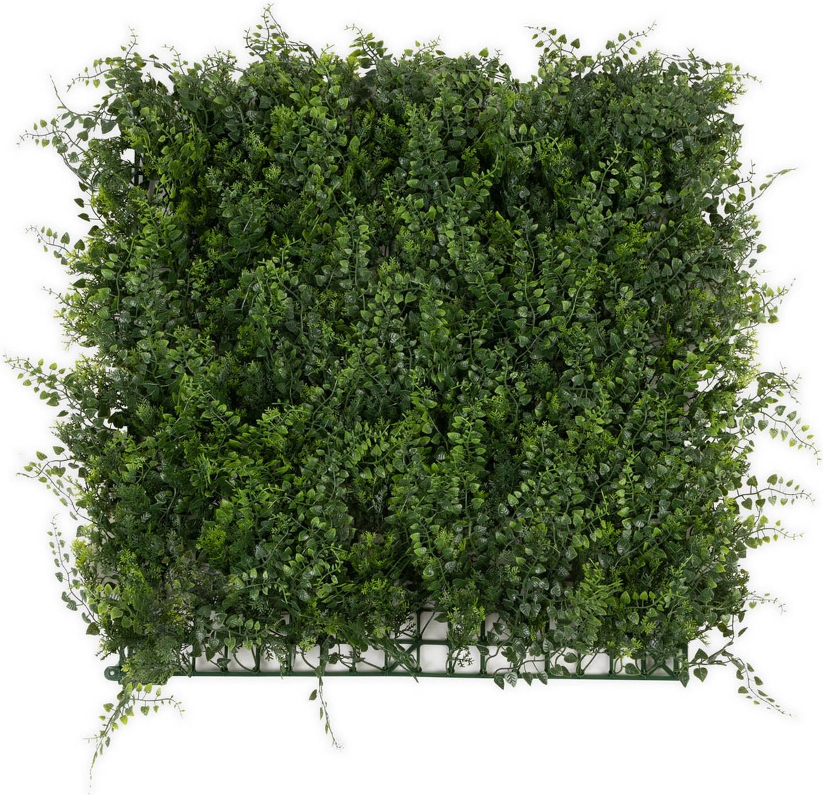 FLOORDIREKT Plantenwand - Fern - Kunstplant - Kunsthaag - Decoratie - 50 x 50 cm
