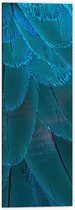 WallClassics - Dibond - Blauwe Veren - 40x120 cm Foto op Aluminium (Wanddecoratie van metaal)