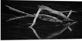 WallClassics - Dibond - Smalle Takken (zwart/wit) - 100x50 cm Foto op Aluminium (Wanddecoratie van metaal)
