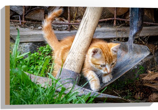 WallClassics - Hout - Kitten in de Tuin - 60x40 cm - 9 mm dik - Foto op Hout (Met Ophangsysteem)