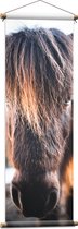 WallClassics - Affiche Textile - Shetlander Endormi - 40x120 cm Photo sur Textile