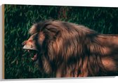 WallClassics - Bois - Lion Berbère Rugissant - 105x70 cm - 9 mm d'épaisseur - Photo sur Bois (Avec Système d'accrochage)