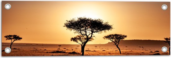 WallClassics - Tuinposter – Silhouet van Enkele Bomen in Droog Landschap - 60x20 cm Foto op Tuinposter (wanddecoratie voor buiten en binnen)