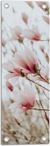 WallClassics - Poster de jardin - Fleurs rose tendre dans le champ - 20 x 60 cm Photo sur poster de jardin (décoration murale pour l'extérieur et l'intérieur)