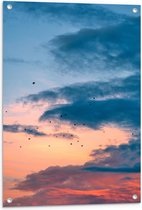 WallClassics - Tuinposter – Vogels bij Blauwe/ Oranje Wolken - 60x80 cm Foto op Tuinposter (wanddecoratie voor buiten en binnen)