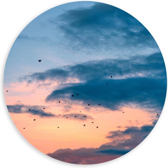 WallClassics - PVC Schuimplaat Muurcirkel - Vogels bij Blauwe/ Oranje Wolken - 100x100 cm Foto op Muurcirkel (met ophangsysteem)