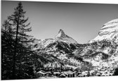 WallClassics - Acrylglas - Grote Boom voor Sneeuwbergen (zwart/ wit) - 150x100 cm Foto op Acrylglas (Wanddecoratie op Acrylaat)