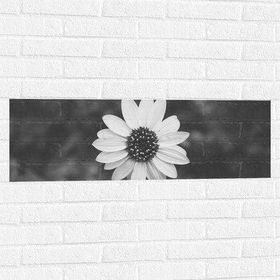 WallClassics - Muursticker - Bovenaanzicht van Lichte Bloem (zwart/ wit) - 90x30 cm Foto op Muursticker