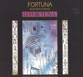 Fortuna featuring Satenig - O Fortuna (CD-Maxi-Single)