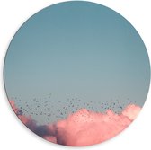 WallClassics - Dibond Muurcirkel - Zwerm Vogels bij Roze Wolken in Blauwe Lucht - 80x80 cm Foto op Aluminium Muurcirkel (met ophangsysteem)