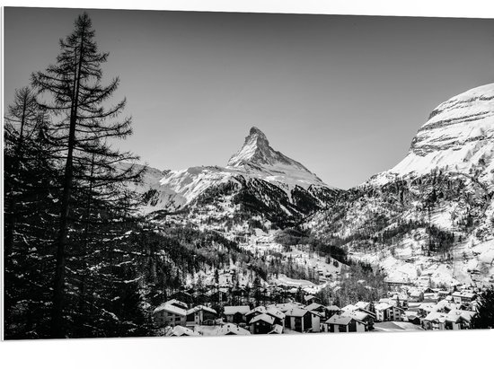 WallClassics - PVC Schuimplaat - Grote Boom voor Sneeuwbergen (zwart/ wit) - 105x70 cm Foto op PVC Schuimplaat (Met Ophangsysteem)