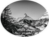 WallClassics - PVC Schuimplaat Ovaal - Grote Boom voor Sneeuwbergen (zwart/ wit) - 40x30 cm Foto op Ovaal (Met Ophangsysteem)