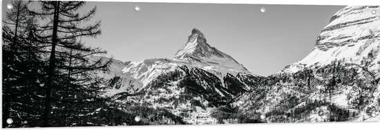 WallClassics - Tuinposter – Grote Boom voor Sneeuwbergen (zwart/ wit) - 150x50 cm Foto op Tuinposter (wanddecoratie voor buiten en binnen)
