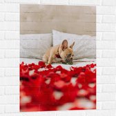 WallClassics - Muursticker - Hondje op Bed met Rode Rozenblaadjes - Franse Buldog - 60x90 cm Foto op Muursticker