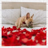 WallClassics - Muursticker - Hondje op Bed met Rode Rozenblaadjes - Franse Buldog - 50x50 cm Foto op Muursticker