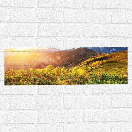 Muursticker - Fel Zonlicht over Bergen met Bloemen, Sneeuw en Planten - 60x20 cm Foto op Muursticker