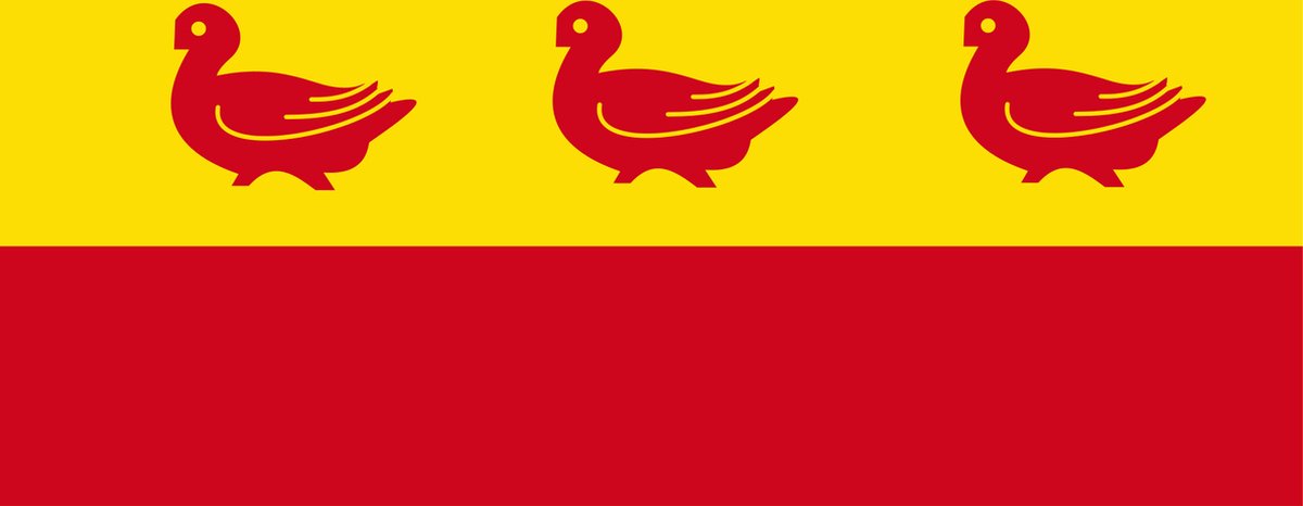 Vlag Sombreffe 120x180cm