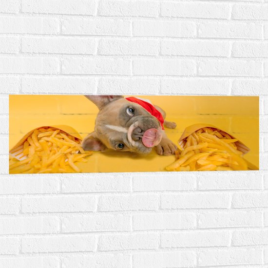 WallClassics - Muursticker - Hondje tussen Frietjes met Gele Achtergrond - 90x30 cm Foto op Muursticker