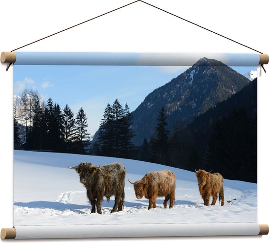 Textielposter - Drie Schotse Hooglanders in Sneeuw Landschap bij Bergen - 60x40 cm Foto op Textiel