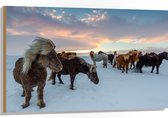 WallClassics - Bois - Chevaux de glace dans la neige avec ciel pastel - 105x70 cm - 9 mm d'épaisseur - Photo sur bois (avec système de suspension)