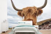Behang - Fotobehang Schotse hooglander - Koe - Landschap - Breedte 450 cm x hoogte 300 cm