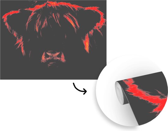 Behang - Fotobehang Schotse hooglander - Licht - Dier - Breedte 375 cm x hoogte 300 cm
