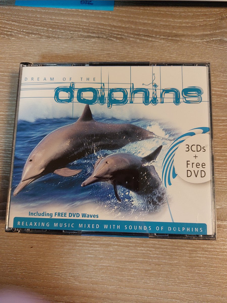 Dream of the Dolphins