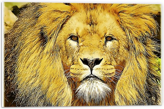 WallClassics - PVC Schuimplaat - Bruin Gele Leeuw - 60x40 cm Foto op PVC Schuimplaat (Met Ophangsysteem)