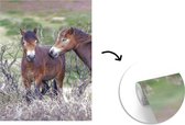 Behang - Fotobehang Paarden in het Nationaal park Exmoor in Engeland - Breedte 175 cm x hoogte 240 cm