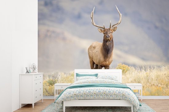 Papier peint - Papier peint Papier peint photo Cerf - Berg - Herbe - Largeur 385 cm x hauteur 280 cm