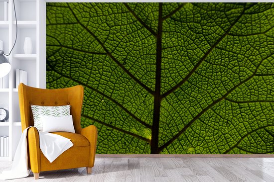 Papier peint photo peint photo vinyle - Veines des feuilles largeur 330 cm x hauteur 220 cm - Tirage photo sur papier peint (disponible en 7 tailles)