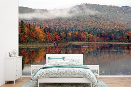 Papier peint - Papier peint photo peint Orignal dans la rivière - Largeur 390 cm x hauteur 260 cm