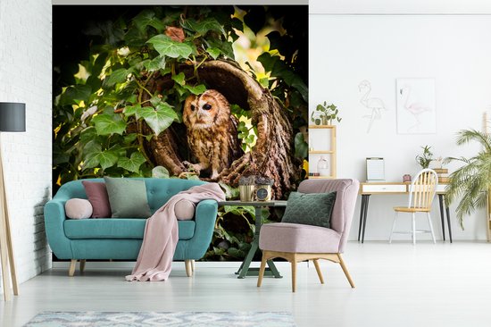 Papier peint vinyle - Un hibou fauve dans un tronc d'arbre largeur 300 cm x hauteur 300 cm - Tirage photo sur papier peint (disponible en 7 tailles)