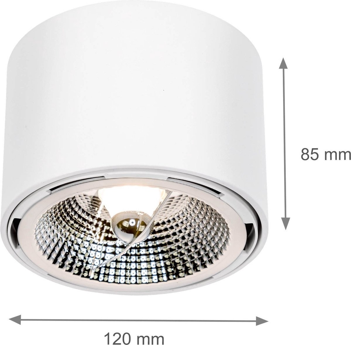 LED Plafondspot CHLOE - GU10 AR111 - excl. LED spot - Wit rond