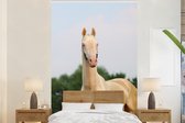 Behang - Fotobehang Paard - Portret - Natuur - Breedte 225 cm x hoogte 350 cm