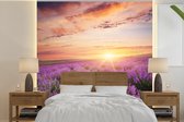 Behang - Fotobehang Lavendel - Zon - Bloemen - Breedte 220 cm x hoogte 220 cm