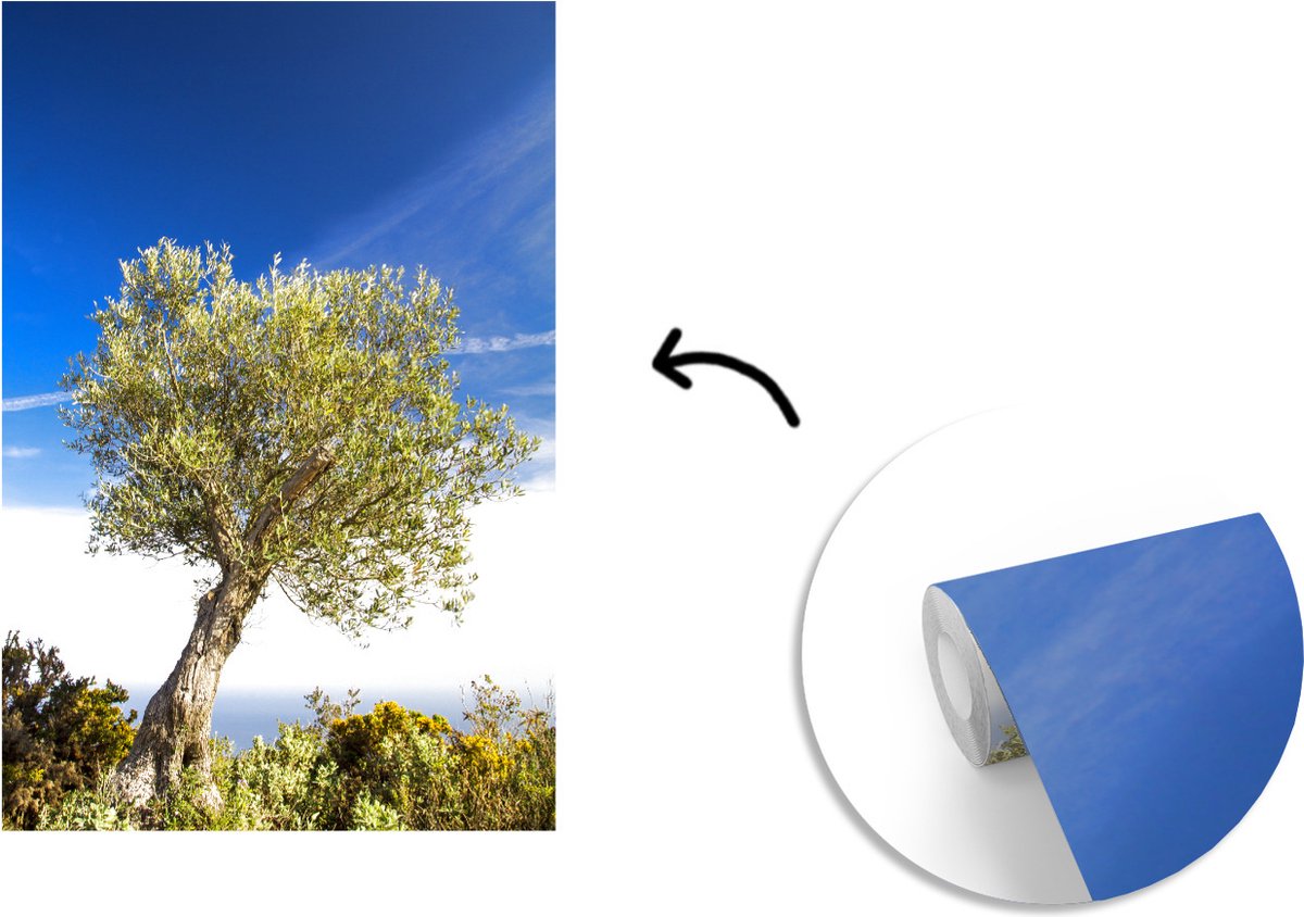 Behang - Fotobehang Een olijfboom onder een blauwe lucht - Breedte 175 cm x hoogte 260 cm