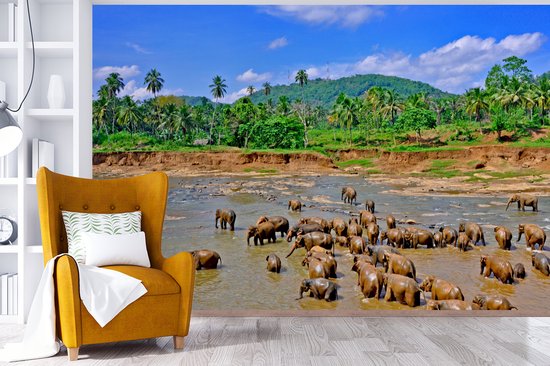 Vinyle Papier peint photo - Un groupe d'éléphants se baigner dans le flux Ma Oya dans Pinnawala sur Ceylan largeur 525 cm x hauteur 350 cm - impression sur le papier peint photo (disponible en 7 tailles)
