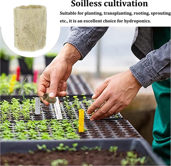 50 Stück Rockwool Cube Hydroponic Sämling Steinwolle Steinwolle