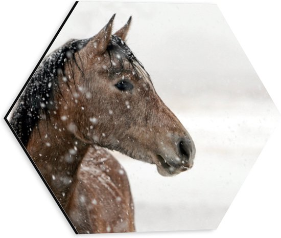 WallClassics - Dibond Hexagon - Bruin Paard in de Sneeuw - 30x26.1 cm Foto op Hexagon (Met Ophangsysteem)