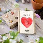 Blossombs-Giftbox-Mini-Hart-Ik vind je lief-Valentijn-Valentijnsdag-14 februari-vlinders-bijen-liefde-geliefde-4 stuks