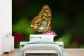 Behang - Fotobehang Vlinder - Bloem - Kleuren - Breedte 450 cm x hoogte 300 cm