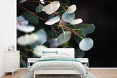 Papier peint photo peint photo vinyle - Feuilles d'eucalyptus sur branches largeur 330 cm x hauteur 220 cm - Tirage photo sur papier peint (disponible en 7 tailles)