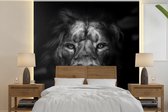 Behang - Fotobehang Dieren - Leeuw - Roofdier - Zwart - Wit - Breedte 260 cm x hoogte 260 cm