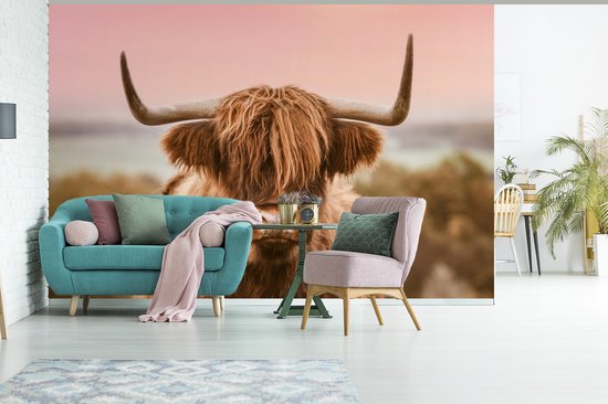Papier peint - Papier peint photo Vache - Highlander écossais - Animal - Largeur 525 cm x hauteur 350 cm