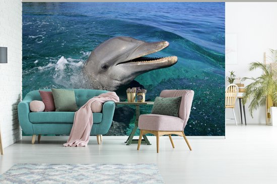 Papier peint photo peint photo vinyle - Verre curieux largeur 330 cm x hauteur 220 cm - Tirage photo sur papier peint (disponible en 7 tailles)