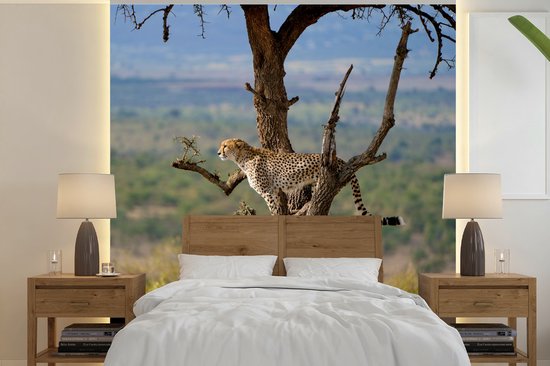 Behang - Fotobehang Luipaard - Boom - Dier - Breedte 260 cm x hoogte 260 cm